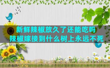 新鲜辣椒放久了还能吃吗 辣椒嫁接到什么树上永远不死